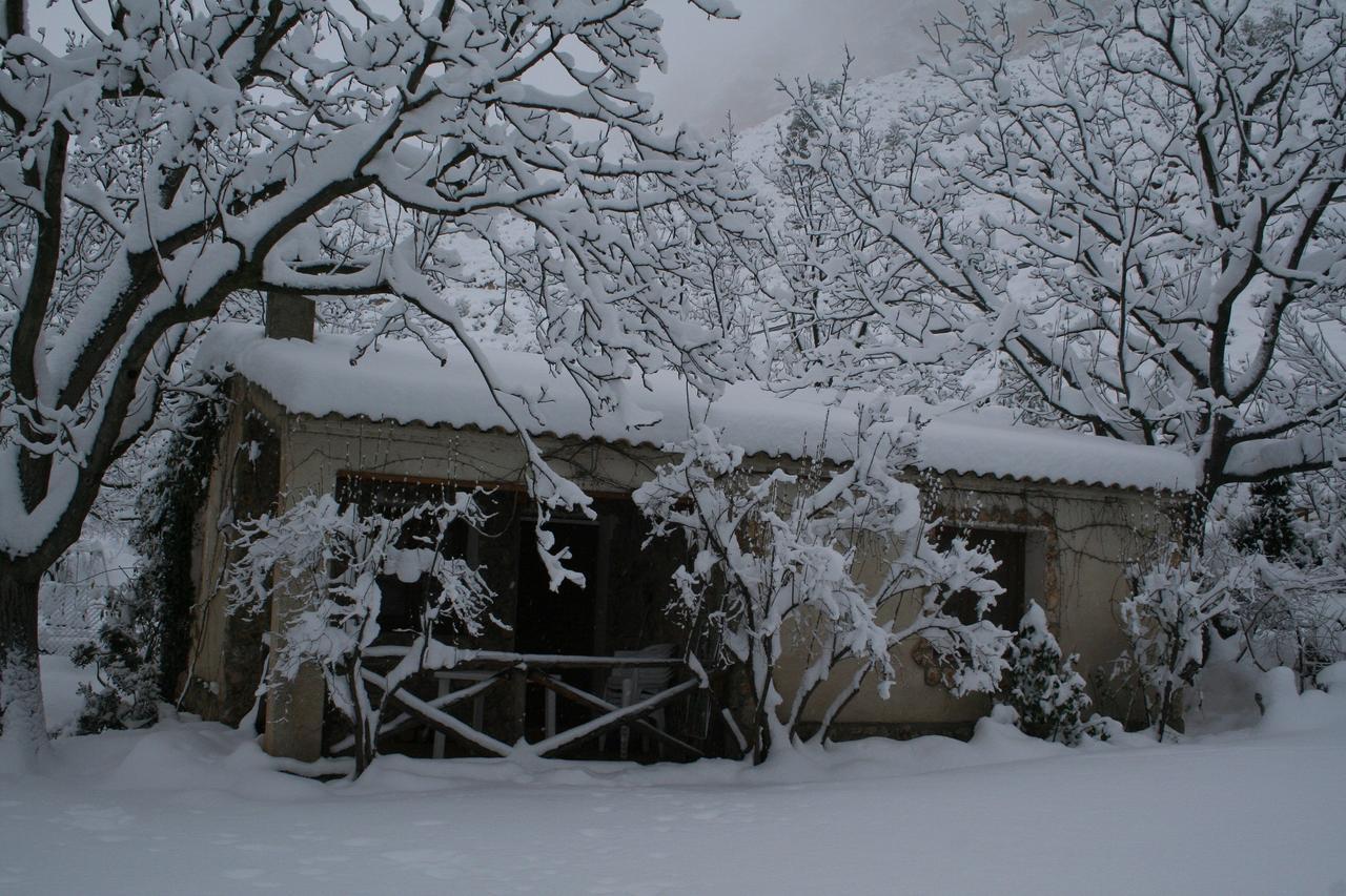 Casas Rurales Los Enebros ネルピオ エクステリア 写真